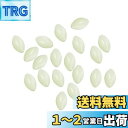 【送料無料】PATIKIL 10x6mm ルミナス釣りビーズ 200個 プラスチック グロー釣り餌 卵 リグビード タックルツール 楕円形 ホワイト