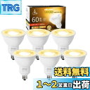 【送料無料】DiCUNO E11口金 LED電球 スポットライト 電球色 6W 60W形相当 2700K 660lm LEDスポットライト 密閉器具対応 広角タイプ AC100V 非調光 PSE認証済み 6個入 ホワイト