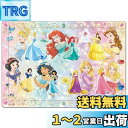 テンヨー(Tenyo) チャイルドパズル ディズニー ディズニープリンセス プリンセスごっこしましょ! 55ピース こども向けパズル シルエットシリーズ DC-...