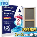 AUREUO 張りキャンバス セット F20 (72.7cmX60.6cm) 中目 綿化繊混紡 2枚 初心者 絵画用具 芸術絵創作 現代油絵 美術装飾 水彩画・...