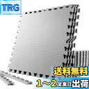 SOLPEX トレーニング ジョイントマット エクササイズマット 防音 衝撃吸収マット ホームジム 大判 ジムマット 60cm×60cm×1.2cm 6枚/12...