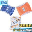 Teamoy 犬マナーベルト 3点セット オス メッシュ裏地 吸収層付き 防水加工生地 ウェストサイズ調整可能 マーキング防止 介護用 お漏らし対策(S,オレン...
