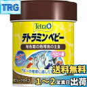 テトラ (Tetra) テトラミン ベビー 30g 稚魚期の熱帯魚の主食 水を汚さずキレイを保つ 食べ残しやフンが減少 熱帯魚 エサ フレーク稚魚 ベビー エサ...