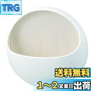 【送料無料】三栄水栓 バスポ せっけんおき ホワイト