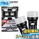 IPF ポジションランプ LED 車用 T10 70lm 6000K ホワイト 12V用 2本入 車検対応 拡散材配合レンズ採用 日本製 104W