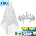Frcolor 王冠 ティアラ ウェディングベール ブライダル ヘッドドレス 結婚式 ヘアアクセサリー 花嫁ベール 髪飾り プレゼント 2点セット
