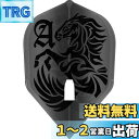 エルスタイル エルフライト PRO 大和久 明彦 ver.1 フライト シェイプ クリアブラック シャンパンリング対応