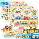 CORPER TOYS 木製パズル 型はめパズル かたはめパズル 積み木 形合わせ 形認識 パズル 英語おもちゃ 5種類シリーズ 男の子 女の子 カラフル プレ...