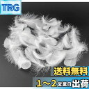 Kingsie 天然 羽根 100枚セット フェザーシャワー 羽シャワー 手芸素材 結婚式 ウエディング 演出 (ホワイト)