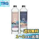 SANAAA エポキシ樹脂 二液性レジン液 ハードタイプ レジン液 大容量500g(250+250g) DIY 手芸用品 レジンアート、レジンアクセサリー 高い透明 低刺激性 エポキシレジン液(3)