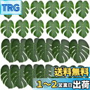 Bestgleモンステラの葉 人工葉 葉っぱ 茎なしフェイクグリーン 24枚セット人口観葉植物 亀の葉 造花 撮影小道具 結婚式用 ins 壁掛け インテリア飾り 宴会造花