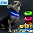 Visinite LED光る首輪, 小型犬 散歩 ライトUSB充電式, 子犬や猫に適した調節可能な長さ, 軽量, 暗い犬 首輪 光る300m先から目視可能, 犬...