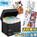 Ohuhu イラストマーカー 筆タイプ 80色81本 プロ愛用 薄色 筆・細字 パステル マーカーペン アルコール系 ブレンダーペン付き Honolulu Bシ...
