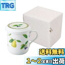 NARUMI(ナルミ) フタ付 マグカップ 果物 290cc 洋ナシ柄 茶こし付 蓋付きマグカップ 結婚祝い 母の日 プレゼント 電子レンジ温め対応 日本製 ギ...