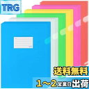 ZCZN ファイルホルダー A4 ファイル収納 タグポケット付き 半透明カラー 6色セット 30枚 資料収納 書類管理