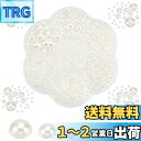 PH PandaHall 半円パール ネイルパーツ 約3337個 半丸パール 人工 真珠 ホワイト 手芸 クラフト ジュエリー DIY用 デコ用 素材 バレンタ...