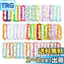 siawadeky ハワイ花輪 50本入 人工花 花ネックレス 髪飾り 首掛け 衣装アクセサリー 壁掛け パーティー 結婚式 宴会飾り 誕生日お祝い フラワーレイ ハワイレイ ビーチフラ パーティー用 ハワイアンガーランドセット(3)