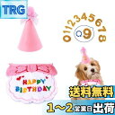 犬 誕生日グッズ スタイ 3個セット ペット 誕生日グッズ 誕生日帽子 HAPPY BIRTHDAY よだれかけ バンダナ 飾り付け ペット用品 柔らかく お誕...
