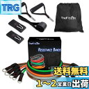 TheFitLife トレーニングチューブ チューブ トレーニング 筋トレチューブ (緑/黒/橙/灰/茶)