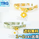 YINKE 猫首輪 猫用首輪 2個セット 鈴付き デージーの花柄 セーフティバックル 可愛い首飾り ネコ 首輪 小動物 小型犬適用 超軽量 S 安全 調整可能 ...
