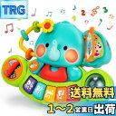 REMOKING 多機能 ピアノおもちゃぞうさんピアノ 知育 玩具 早期開発 指先訓練 聴覚発達 色認知 モンテッソーリ 玩具 6ヶ月以上 乳幼児 ミュージック...