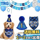 GOODCHI 犬 誕生日 帽子 ペット 誕生日 飾り付け 犬 猫 誕生日帽子 バンダナ バナー ペットグッズ おしゃれ 誕生日 記念日 パーティー飾り (ブルーの風船セット)