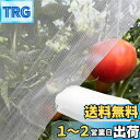 【送料無料】Phyxiul 防虫ネット 防鳥ネット 園芸用ネット 鳥害対策 防鳥防獣網 鳥除け 野菜栽培 家庭菜園 畑 野菜 虫鳥除け網 通気性 虫除けネット 透明色 (2.5m×3m)