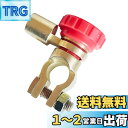 【D端子専用】 バッテリー キル スイッチ 12V 24V ※B端子不可 カットオフスイッチ 簡単取付 防犯対策 バッテリ カット ターミナル 車 バイク 遮断 漏電 防盗 防止 保護 GRmkt 赤
