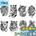 Yesallwas タトゥー 虎 (とら トラ 寅 タイガー) 8枚セット タトゥー 刺青 メンズ 腕 入れ墨 かっこいい 動物 リアル 防水 長持ち 和彫り 刺青シール ボディーシール tiger tattoos 15x21CM