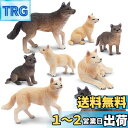 TOYMANY 8PCSオオカミフィギュア 動物フィギュアセット リアル動物おもちゃ オオカミ家族 人気動物 おもちゃ 玩具 誕生日プレゼント クリスマス 新年 飾り物 コレクション 6歳以上