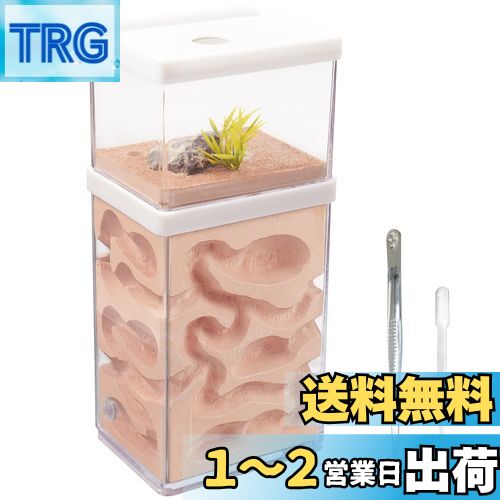 TRGの【送料無料】aleawol アリの巣観察キット アリ飼育箱 蟻の巣観察キット 蟻 飼育 石膏製巣箱 2層式 透明なプラスチックアリの巣 アリ飼育キット 昆虫 自由研究 生物実験 科学実験 観察日記 自然 生物 教育玩具用 (蟻なし)|詳細画像