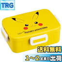 【送料無料】スケーター(Skater) 弁当箱 650ml ポケットモンスター ピカチュウ フェイス 23 抗菌 4点ロック 女性用 日本製 YZFL7AG-A