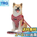 THAIN ハーネス リード 小型犬 胴輪 人気 ハーネス 犬 用 犬リード 犬 ハーネス リードセット 犬 唐草模様 夜間反射 サイズ調節可能(S 唐草模様赤...