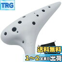 【送料無料】Aestivate Plastic Ocarina オカリナ 楽器 12穴 アルトC調 プラスチック AC Ocarina 吹奏管 樹脂(ホワイト)