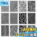 【送料無料】Mollytek 描画テンプレート ステンシルシート プレートヒョウ柄 絵画テンプレート手帳用テンプレート 絵図 絵描き道具 描画ツールDIYアルバ...