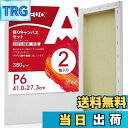 【送料無料】AUREUO 張りキャンバス セット P6 (41cmX27.3cm) 中目 100%コットン 2枚 初心者 絵画用具 芸術絵創作 現代油絵 美術装...