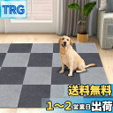 【アップグレード版 】 吸着マット ジョイントマット タイルカーペット ずれない 防音 洗える ペット/高齢者の滑り止め対策、30*30cm 40枚 グレー濃/薄
