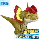 マテル ジュラシックワールド(JURASSIC WORLD) 新たなる支配者 大暴れ! ベビー・ディロフォサウルス 【4才~】 GWY56