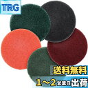 DanYun 125mm 精練パッド ポリッシャー交換用 #180 - #2000 5枚セット 研磨パッド 工業用 荒目 中目 細目 電動ドリル 研磨仕上げ 磨きツール 交換用 ( 180 400 600 1000 2000 5粒度 各1枚) 塗装面の研磨、金属表面の錆取り 研磨、木工生地研磨などに