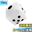 CCINEE ジャンボサイコロ 30cm 巨大 大きい ビッグ ビーチボール ジャンボ サイコロ カードゲーム (ジャンボサイコロ 30cm 1個)