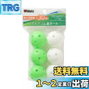 Tabata(タバタ) ゴルフ 練習用 ボール アイアンショット練習 ホローボール 最大飛距離30m GV0310