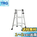 【送料無料】長谷川工業(Hasegawa) アルミ軽量はしご兼用脚立 天板トレー付 (81cm) RC-09c (10940)