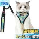 猫 猫用 ハーネス 胴輪 猫具 ねこ ネコ 子猫 子犬 小型犬 散歩 お出かけ 抜けない ベスト ソフト胸あて 軽量 頭を通さずマジックテープで装着 サイズ調節可 夜反射 通気メッシュ (Sサイズ (x 1), 三角柄)