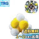 Doyeemei 麻雀 牌 洗浄 自動麻雀卓 専用 洗浄ボール 12個セット 洗浄玉 麻雀ブランド クリーニングボール 清掃 麻雀洗浄たま メンテナンス 黄色白...