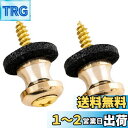 Musiclily Pro 10mm スチール製ストラップピン 小型ギターベース/ウクレレ用 、ゴールド(2個セット)