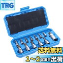 【送料無料】HFS(R) トルクスビットソケットセット 13点入り 星形 6.35mm 9.52mm 12.7mm 収納ボックス 車 設備用