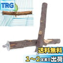 YFFSFDC 鳥 止まり木I型 パーチ オウムインコ爪を磨く 噛むおもちゃ 自然りんごの木 設置簡単鳥休み場所 鳥用品 2本セット
