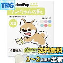 【送料無料】WICKEDPUP ワンちゃんの靴、48枚入、6色ミックス、XS | 犬用靴下、滑り止め、滑らない | ペット用くつ、足舐め防止 | 猫用くつした、...