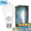 【送料無料】ORALUCE LED電球 E26口金 人感センサー 電球 60W形相当 昼光色 6500K 9W 900lm 自動点灯・消灯 明暗センサー付 消し忘れ防止 階段 玄関 廊下 トイレ 調光不可 1個入 LDA9D-G-E26