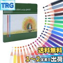 【送料無料】色鉛筆 Ninonly 油性色鉛筆 24色 大人の塗り絵 落書き 素描 ?画 デザイン プロ専用 芸術家 初学者 子供用 入園・入学お祝い 文房具 ...